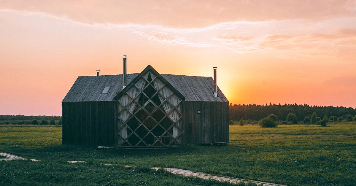 Современные развлечения в традиционной деревенской жизни