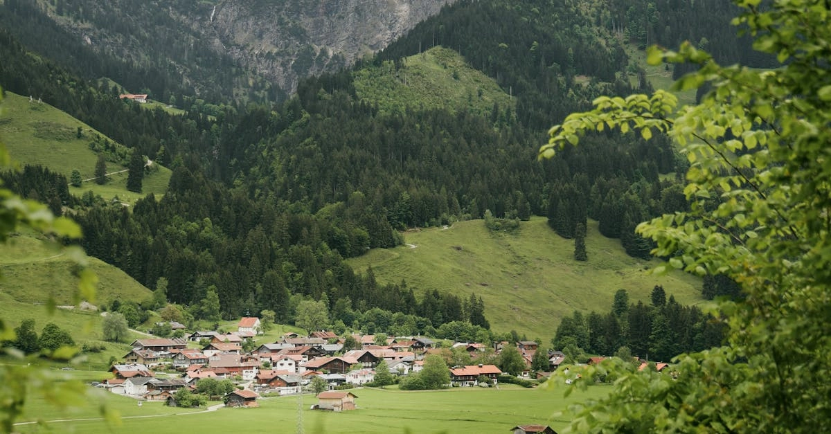 Традиционные игры немецких деревень и культурное наследие